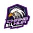 昌华BLLlogo