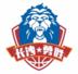 长沙勇胜logo